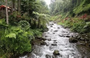 Kali Bendo Banyuwangi
