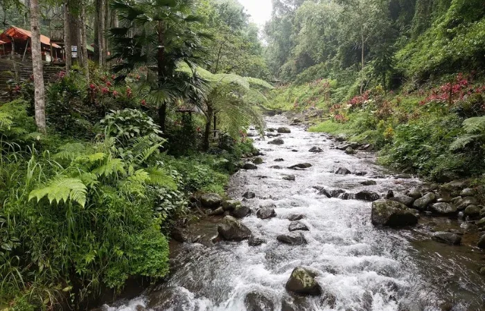 Kali Bendo Banyuwangi