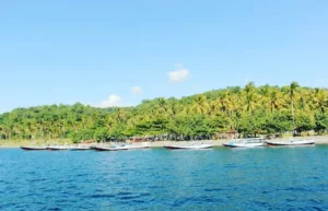 Basring Banyuwangi