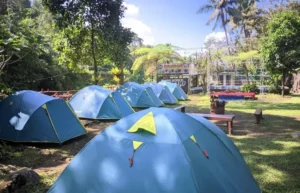Pinus Camp 2 Banyuwangi