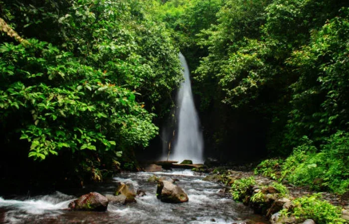 Air Terjun Banyuwangi