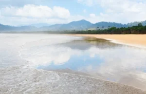 Banyuwangi Watu Dodol