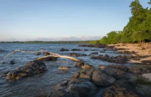 Biaya Ke Pulau Menjangan Dari Banyuwangi