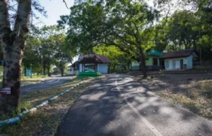 Objek Wisata Di Banyuwangi Terbaru