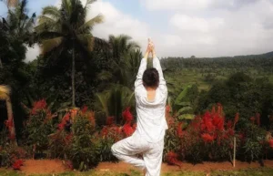Omah Bapak Ijen Eco House