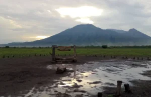 Padang Savana Di Banyuwangi