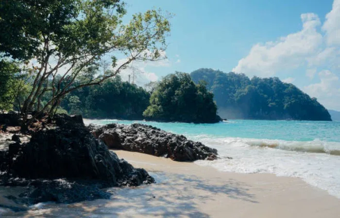 Pantai Di Banyuwangi Untuk Snorkeling