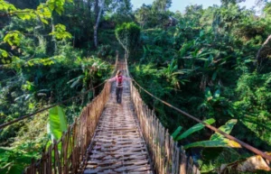 Wisata Alas Purwo Banyuwangi-001