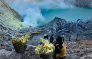 Wisata Bagus Di Banyuwangi