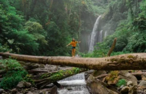 Wisata Baluran di Banyuwangi-001