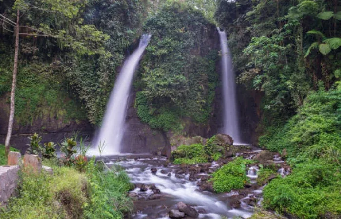 Desa Wisata Banyuwangi