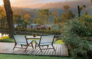 Penginapan Dekat Ijen