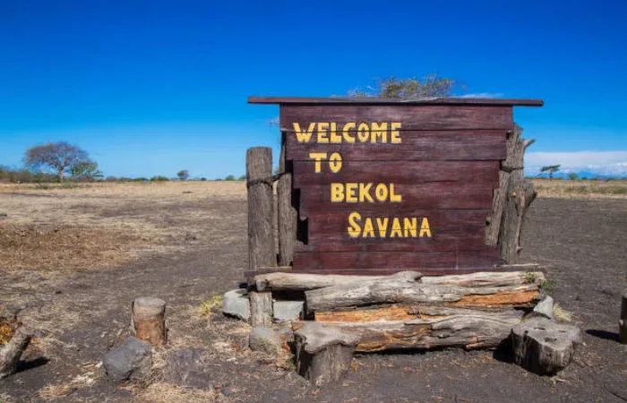 Savana Bekol Banyuwangi