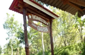 Homestay Ijen Garden