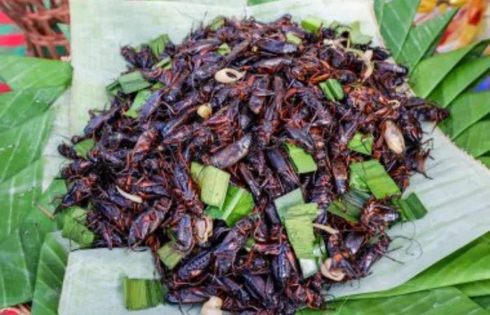 Makanan Khas Suku Osing Banyuwangi