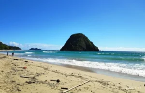 Pantai Pasir Pink Banyuwangi