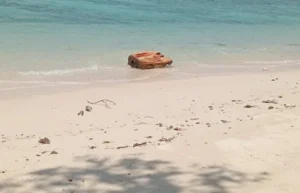Pasir Putih Banyuwangi