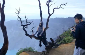 Penila Travel Banyuwangi