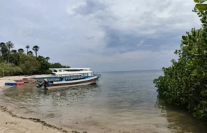 Wisata Taman Nasional Baluran