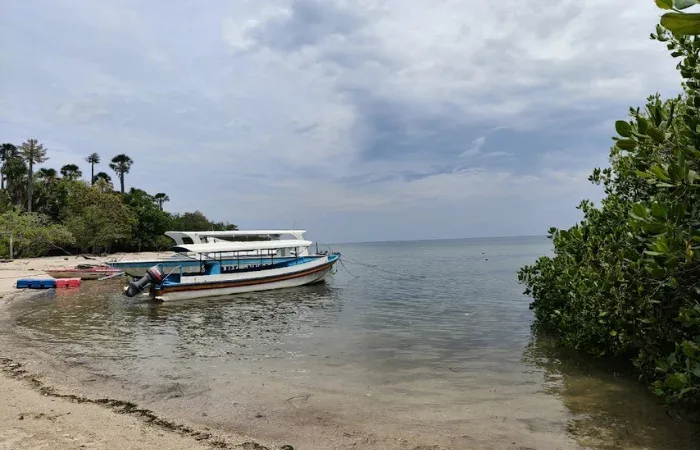 Wisata Taman Nasional Baluran