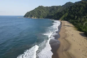 Pantai Bagus Di Banyuwangi