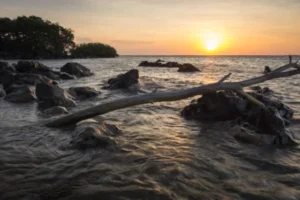 Pantai Banyuwangi Terbaru