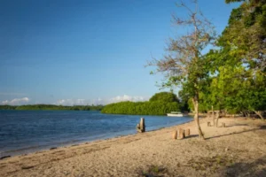 Pantai Banyuwangi Terdekat