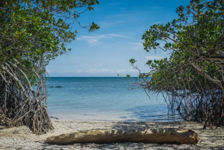 Pantai Banyuwangi Terkenal