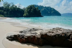 Snorkeling Pulau Tabuhan Banyuwangi