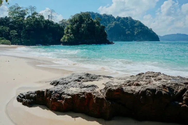 Snorkeling Pulau Tabuhan Banyuwangi