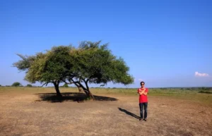 Taman Nasional Baluran Adalah