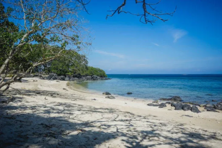 Pantai Banyuwangi Selatan