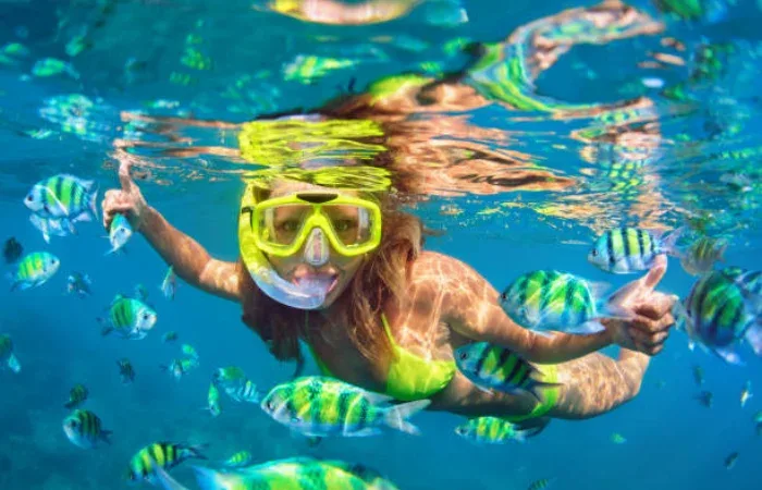 Snorkeling Di Banyuwangi