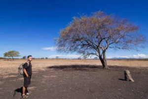 Taman Wisata Baluran Banyuwangi