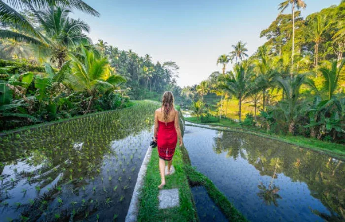 Tempat Wisata Daerah Banyuwangi-001