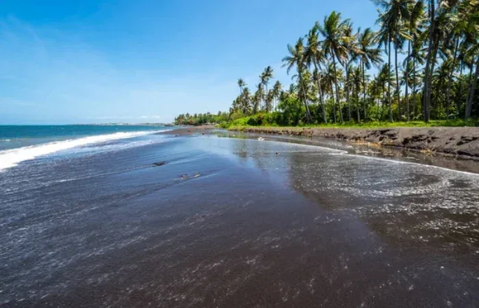 Pantai G Land Banyuwangi