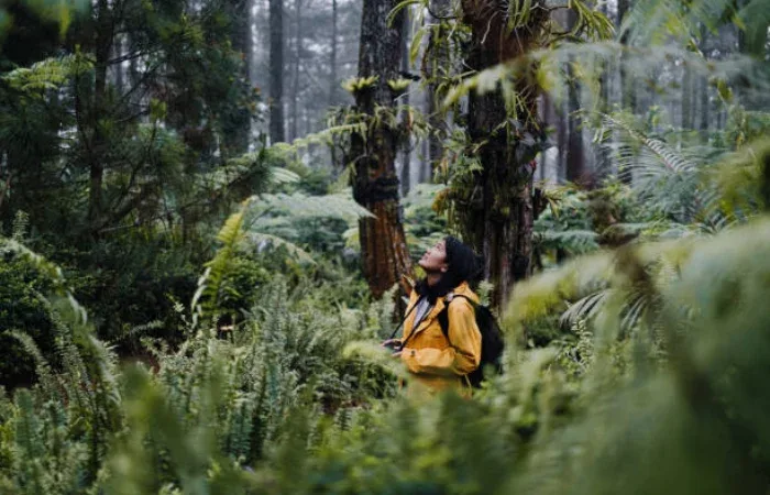 Pulau Penyu Banyuwangi-001